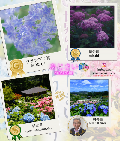 あじさい結果