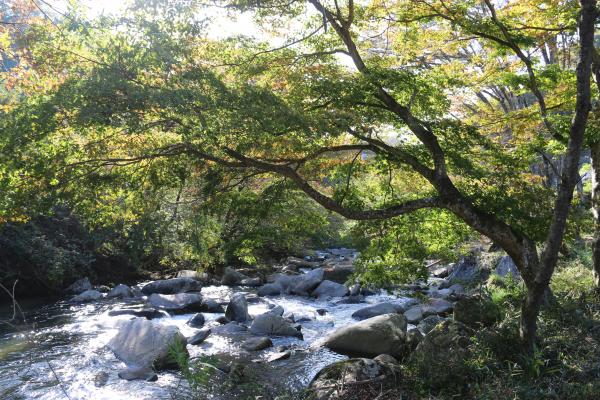 山鶏滝