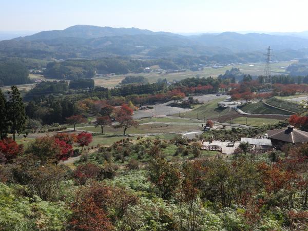 紅葉