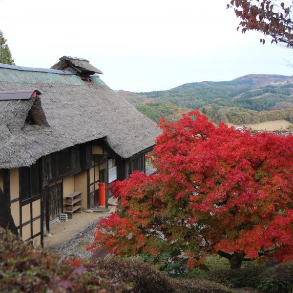 紅葉