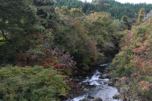山鶏滝