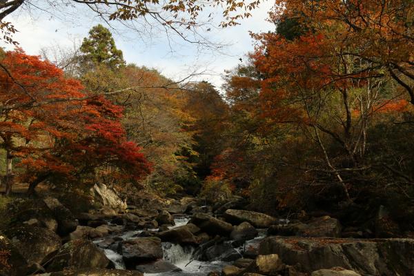 山鶏滝