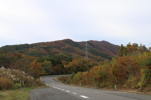 紅葉