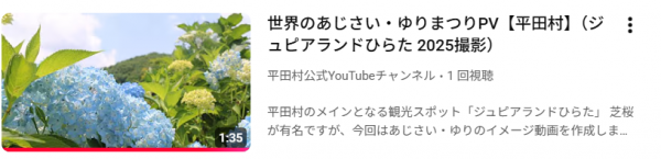 動画