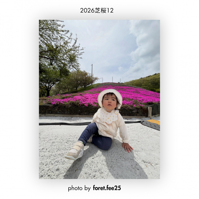 芝桜⑫